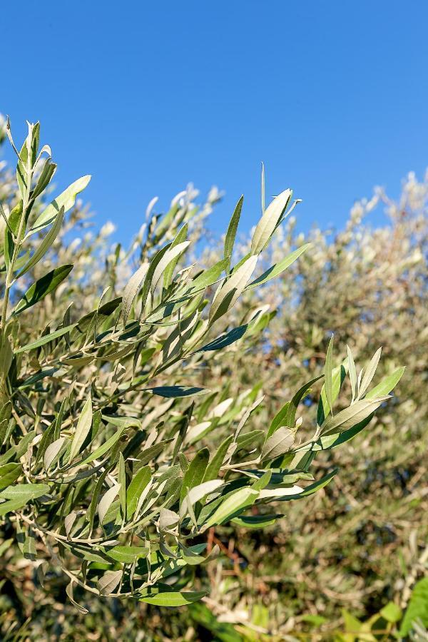 Hera Kyrenia Bb Kazaphani Esterno foto